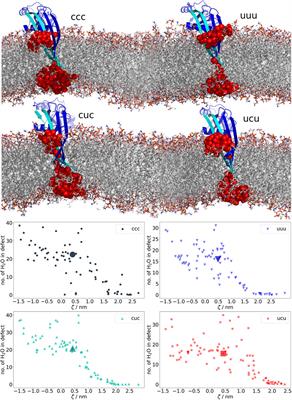 Not sorcery after all: Roles of multiple charged residues in membrane insertion of gasdermin-A3